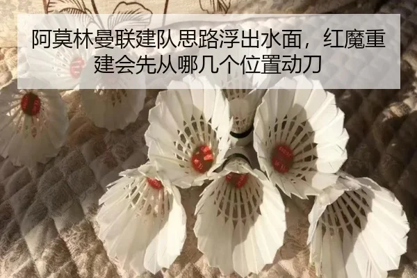 阿莫林曼联建队思路浮出水面，红魔重建会先从哪几个位置动刀